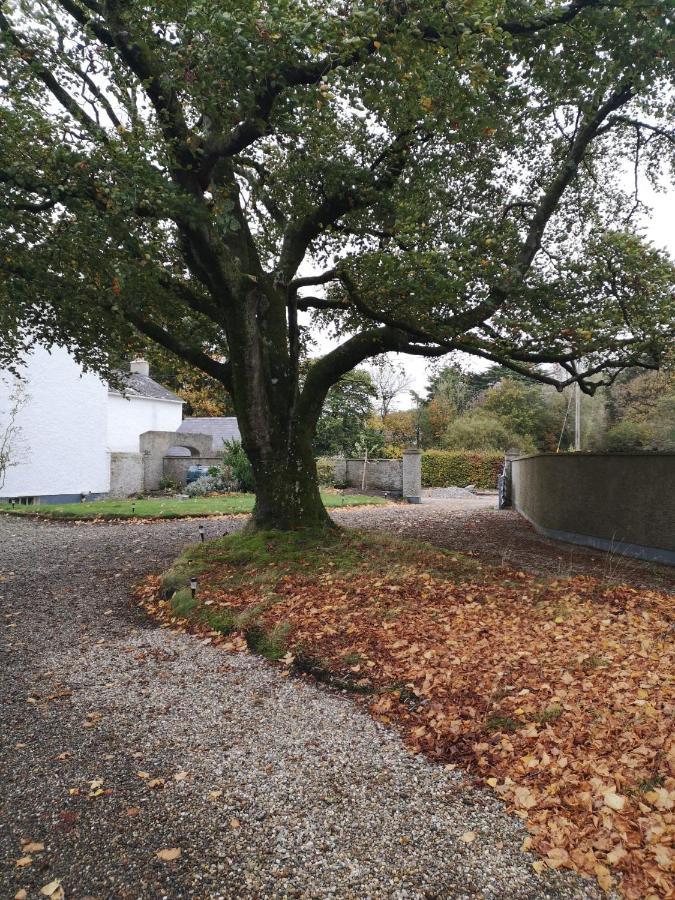 Kilpatrick Glebe Villa Crossabeg Exteriör bild