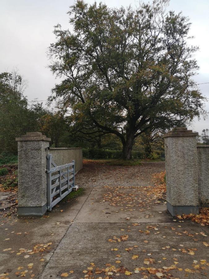 Kilpatrick Glebe Villa Crossabeg Exteriör bild